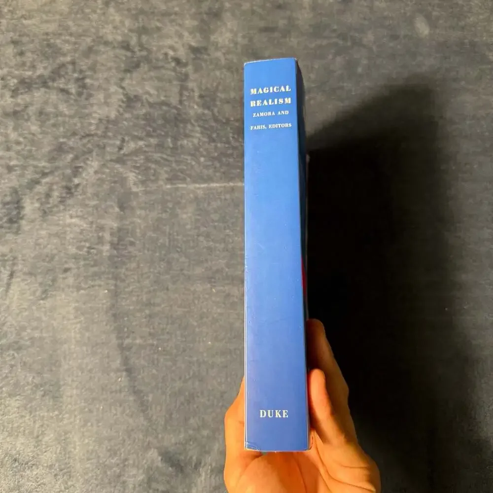 Magical Realism: Theory, History, novel